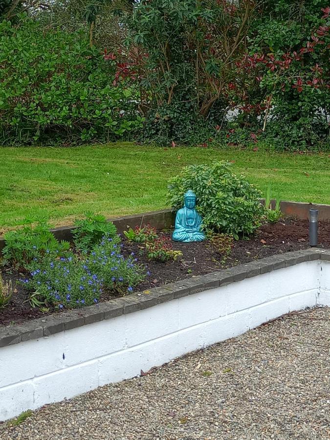 Bed and Breakfast Applelea House Rosslare Harbour Zewnętrze zdjęcie