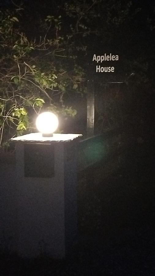 Bed and Breakfast Applelea House Rosslare Harbour Zewnętrze zdjęcie